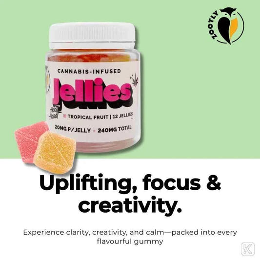 Hoot Hooot Jellies | 240mg CBD Plus +
