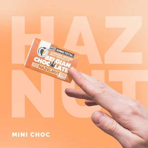 Hoot Hooot Belgian Mini Choc Hazelnut | 30 mg CBD Plus +
